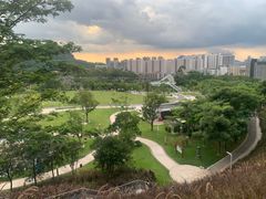 -白石龙音乐公园