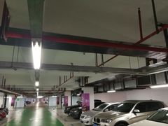 -上海喜玛拉雅酒店-停车场