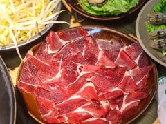 -阳阳老火锅(小南门店)