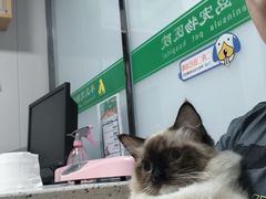 -半岛宠物医院24小时(科华中路店)