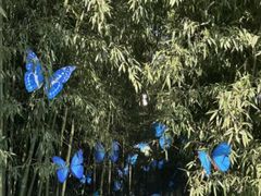 -竹泉村旅游度假区