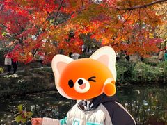 -秋霞圃