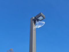 -长春市南湖公园