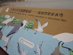 -深圳湾公园(南山区)