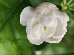 -思训家卡耐基中国口才培训(渝中校区)