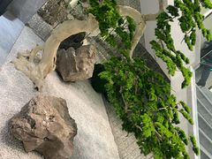 -碧丽宫大酒店(召稼楼店)