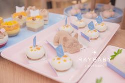 -瑞贝生日派对宝宝宴策划