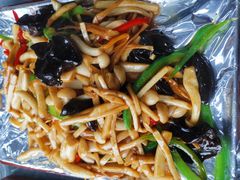 珍菌全家福-五台山正觉全素斋