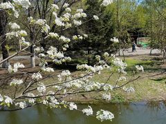 -长白岛森林公园