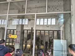 -保定市动物园