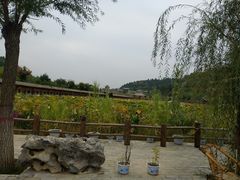 -渭南桃花源民俗文化园