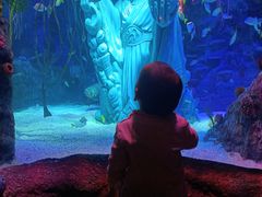 -沈阳海洋探索中心