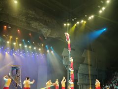 -重庆国际马戏城