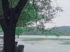 -鸣鹤古镇