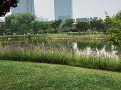 -西海子公园