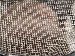 -萌兽医馆·宠物医院·猫骨科(创景店)