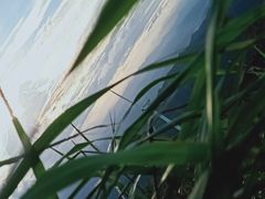 -东白山