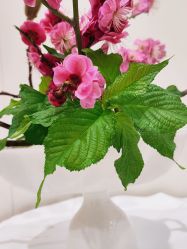 -今日陶艺(富力广场店)