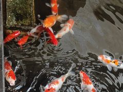 -天津波士信达奔驰4S店(卫津南路店)