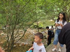-牛背梁国家森林公园