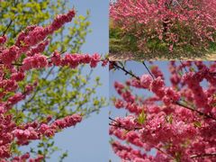 -南山风景名胜区