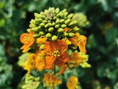 -中国天府农业博览园