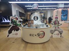 -Sony Store 索尼(来福士店)