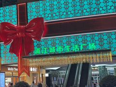 -浦江城市生活广场(江月路店)