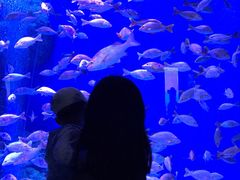 -成都浩海立方海洋公园