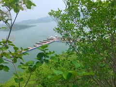 -白洋淀风景区