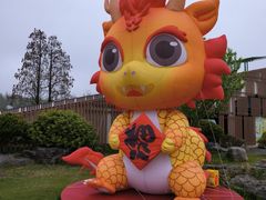 -黄海国家森林公园