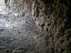 -上海佘山国家森林公园天马山园