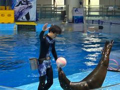 -合肥海洋世界