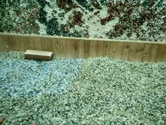 -钓鱼岛洗浴休闲会馆(卫星路店)