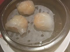 -糖朝(尖沙咀店)