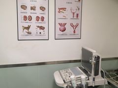 -乐派堂宠物医院·猫友好· 心脏科(东街店)