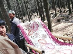 -芦芽山旅游度假区