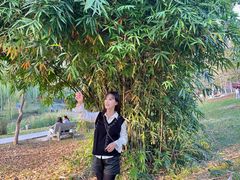 -堤角公园