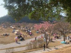 -风云岭森林公园