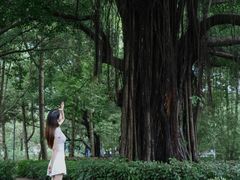 -燕晗山郊野公园