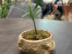 -théATRE茶聚场·餐厅(环球金融中心店)