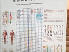 -杏林康桥中医正骨·体态矫正·跌打损伤·推拿按摩(国贸建外SOHO店)