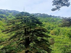 -黄山风景区