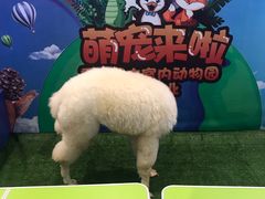 -唐糕祖(商业步行街店)