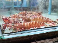 -班赞海鲜市场