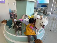 -怪兽屋·羊驼·猫咖·狗咖(俊华广场店)