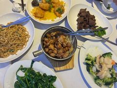 -食为先(Shark Fin)