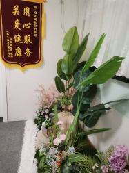 -寇氏减肥
