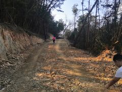 -青龙山国家森林公园