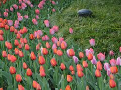 -中国计量大学(西校区)